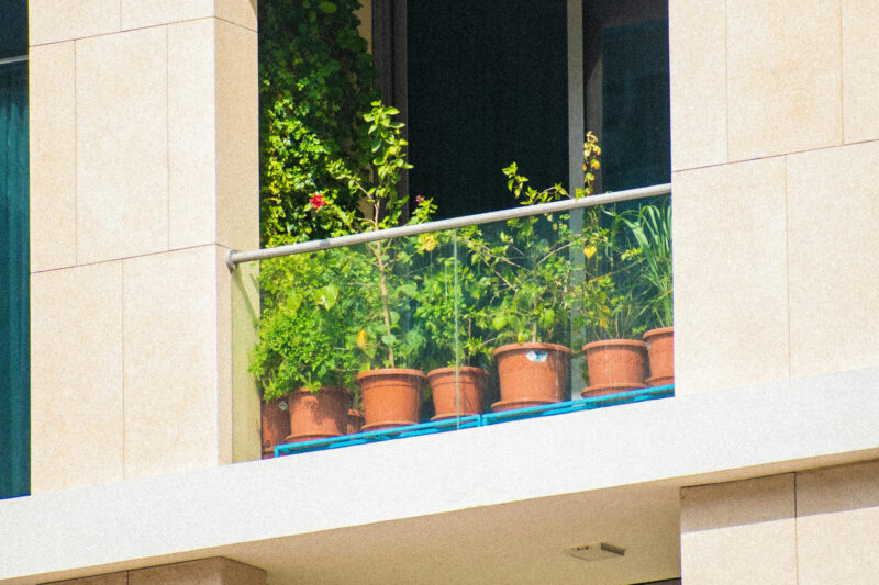 Vegetable Gardening in Small Spaces