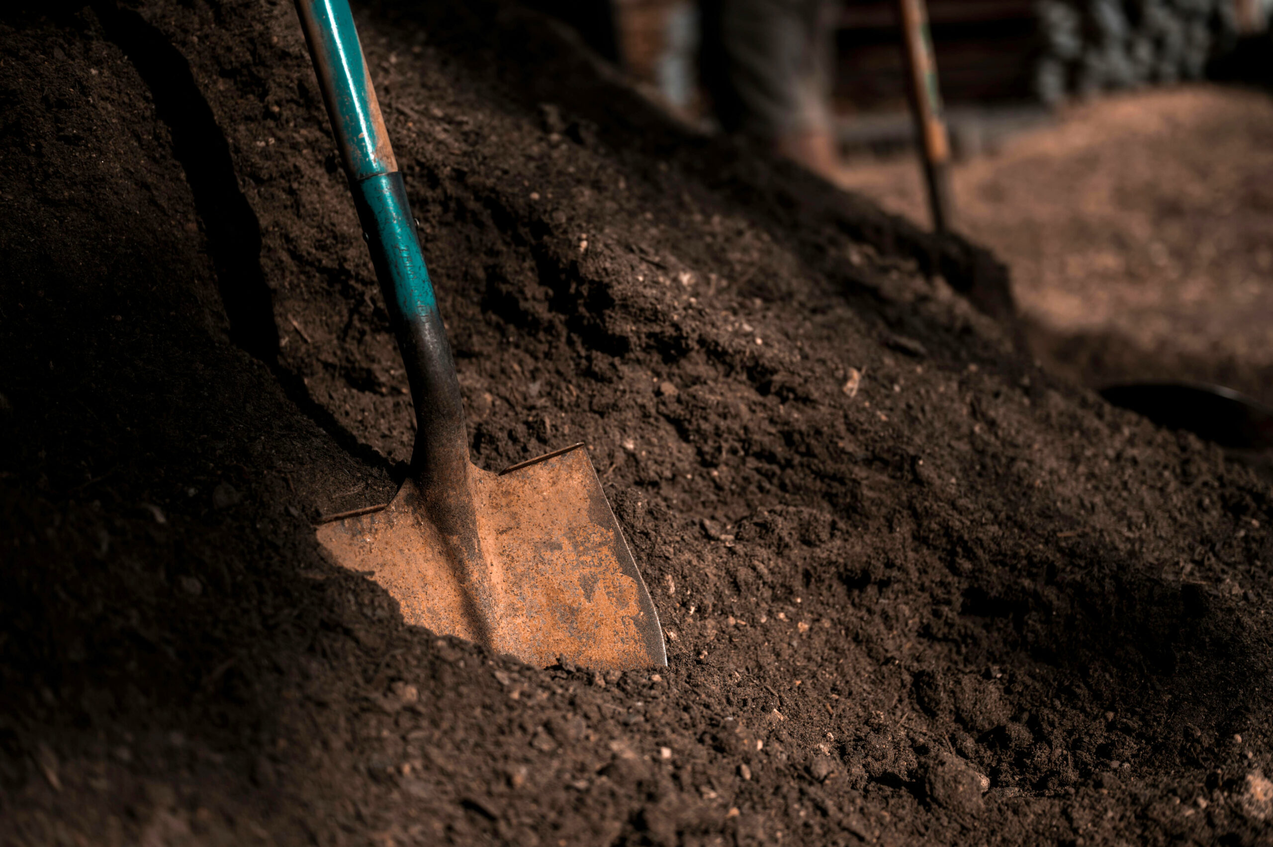 🌱 Free Soil & Seeds in Riverside Park – May 17